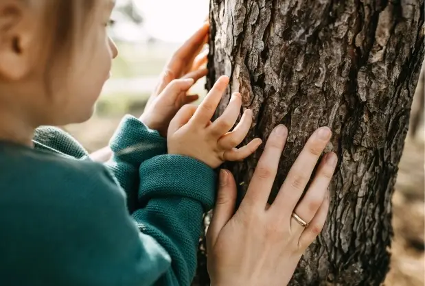 Alumnado explorando la corteza de un árbol durante una actividad en la naturalez