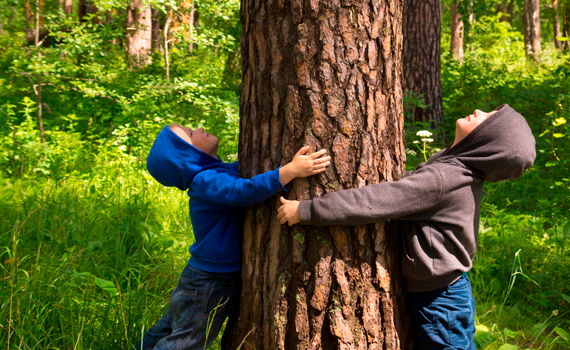 la naturaleza es la casa de todos. Desde Ecoembes y Bosquescuela somos conscientes de ello, y por eso, nos hemos unido para fomentar la educación ambiental en las aulas.